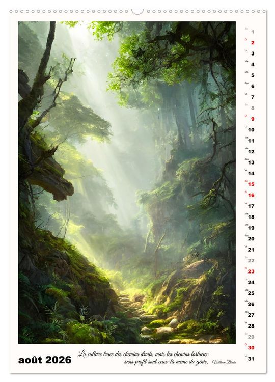 Produktbild: Chemins de fantaisie (Calendrier mural 2026 DIN A2 horizontal), CALVENDO calendrier mensuel