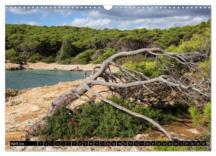 Produktbild: Gallipoli und Apulien - Faszination S&uuml;ditalien (Wandkalender 2026 DIN A3 quer), CALVENDO Monatskalender