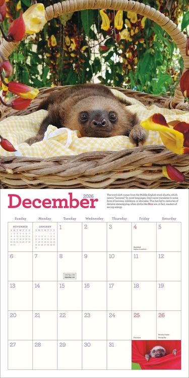 Produktbild: Original Sloths Wall Calendar 2026
