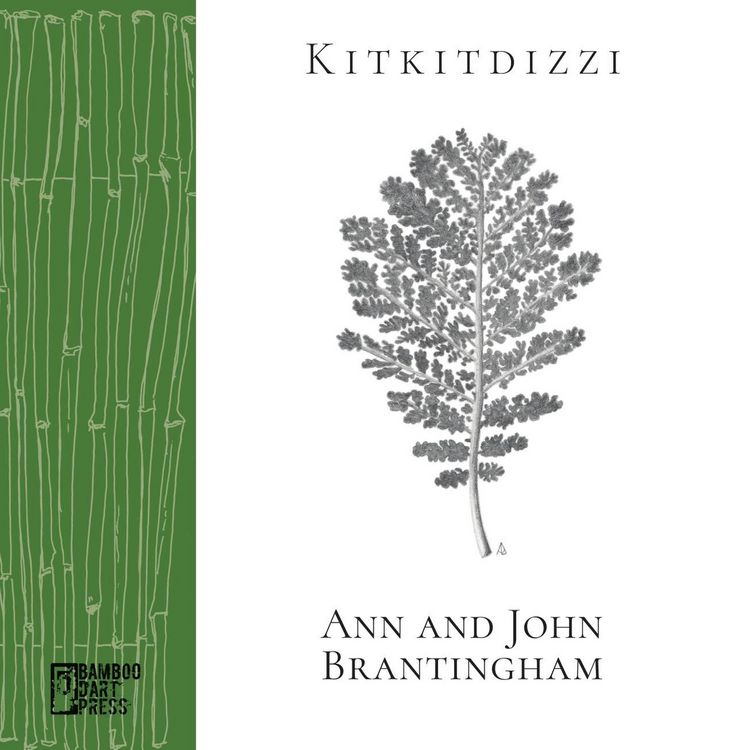 Produktbild: Kitkitdizzi