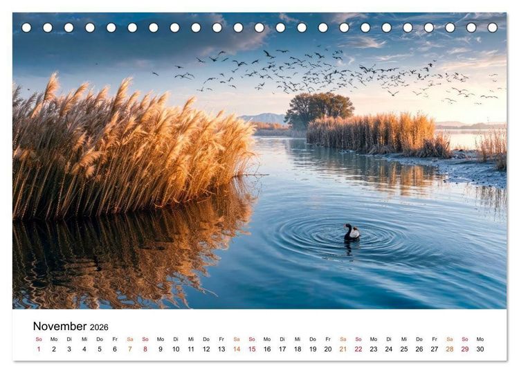 Produktbild: Naturzeit - Ein Jahr im Wandel (Tischkalender 2026 DIN A5 quer), CALVENDO Monatskalender