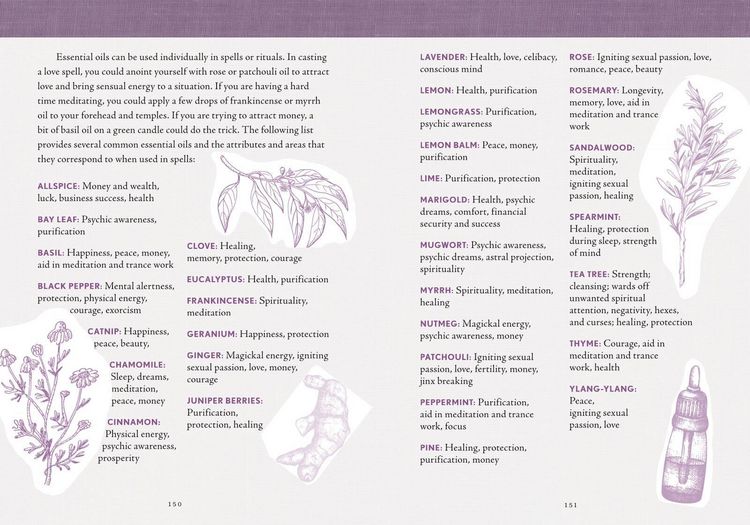 Produktbild: The Good Witch's Perpetual Planner