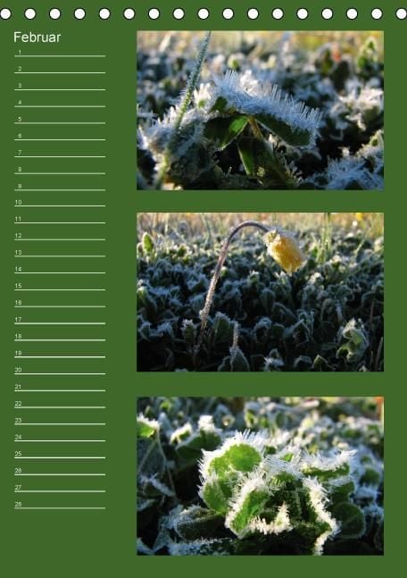 Produktbild: Zauberwelt der Blumen - Eiskristalle & Wasserperlen / Geburtstagskalender (Tischkalender immerw&auml;hrend DIN A5 hoch)