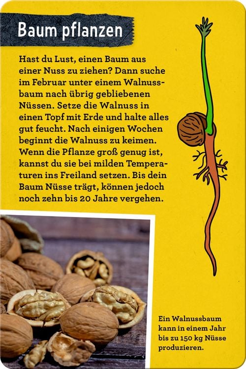 Produktbild: 50 B&auml;ume kennen & erleben