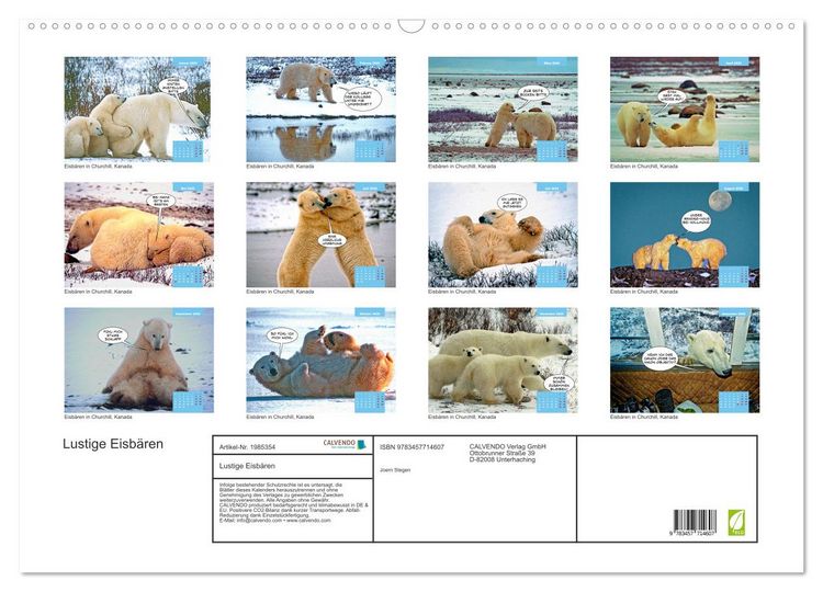 Produktbild: Lustige Eisb&auml;ren (Wandkalender 2026 DIN A2 quer), CALVENDO Monatskalender