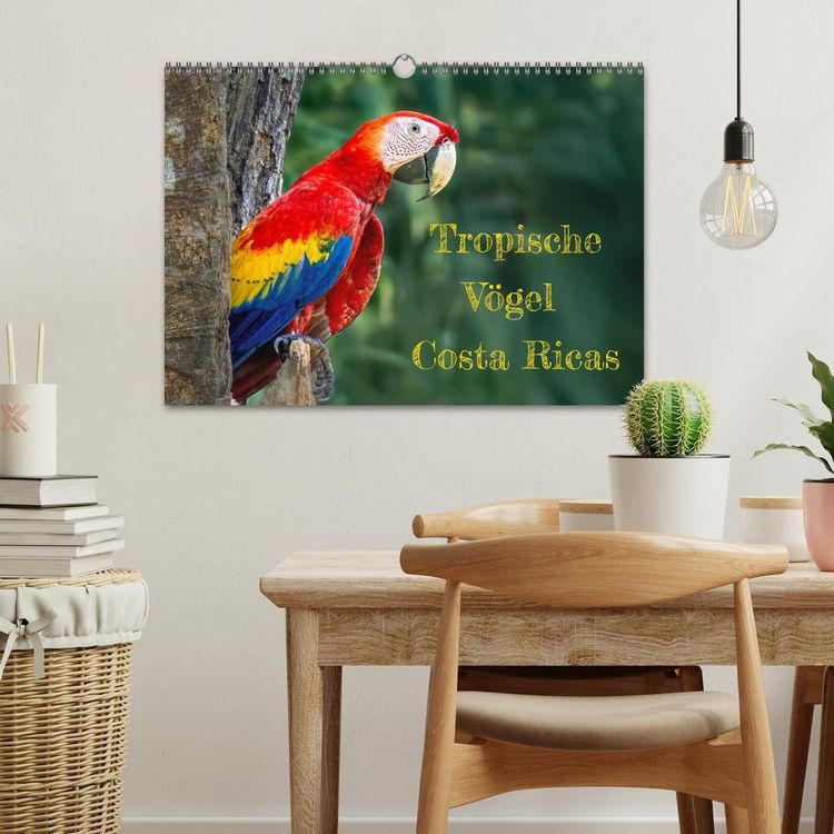 Produktbild: Tropische V&ouml;gel Costa Ricas (Wandkalender 2026 DIN A3 quer), CALVENDO Monatskalender