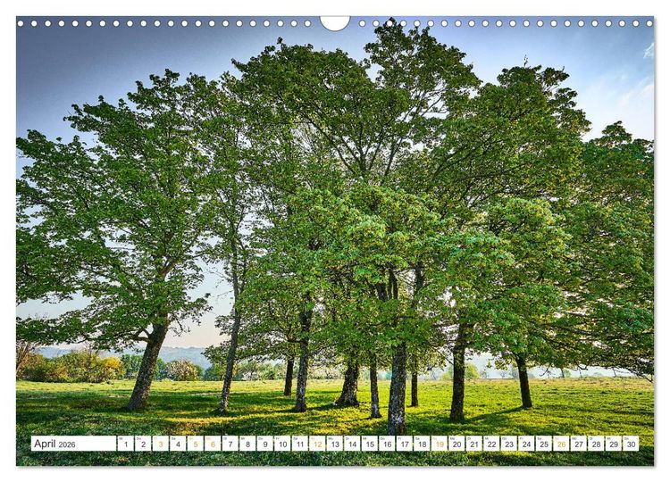 Produktbild: B&auml;ume im Altm&uuml;hltal (Wandkalender 2026 DIN A3 quer), CALVENDO Monatskalender