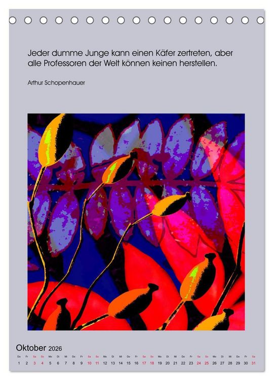 Produktbild: NaturVisionen (Tischkalender 2026 DIN A5 hoch), CALVENDO Monatskalender