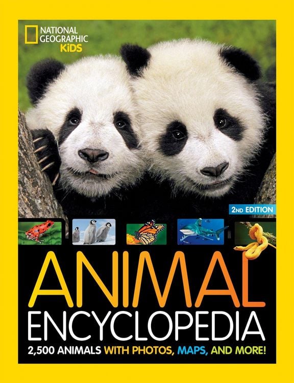 Produktbild: Animal Encyclo_national Ie Hb