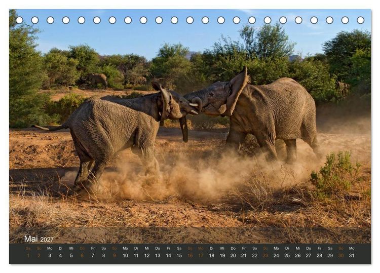 Produktbild: Elefanten (Tischkalender 2027 DIN A5 quer), CALVENDO Monatskalender