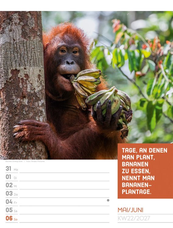 Produktbild: Tierisch Spr&uuml;chekalender Wochenplaner 2027