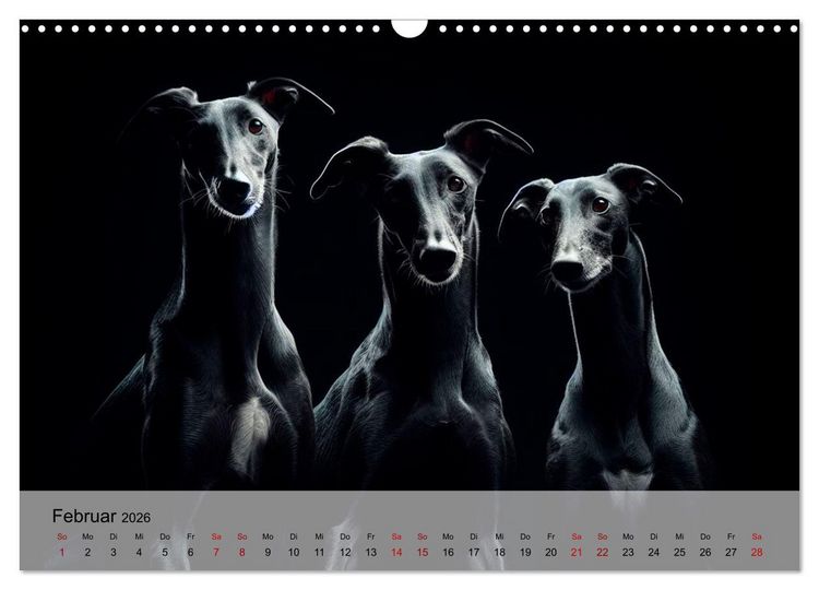 Produktbild: Black is beautiful (Wandkalender 2026 DIN A3 quer), CALVENDO Monatskalender