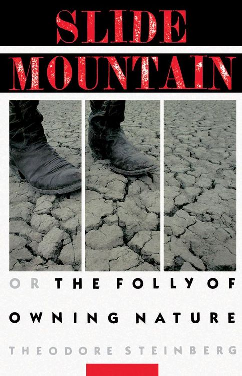 Produktbild: Slide Mountain