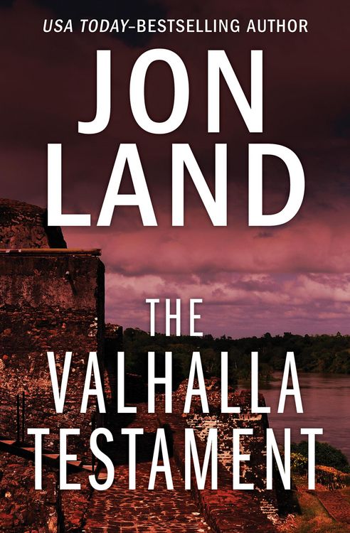 Produktbild: The Valhalla Testament
