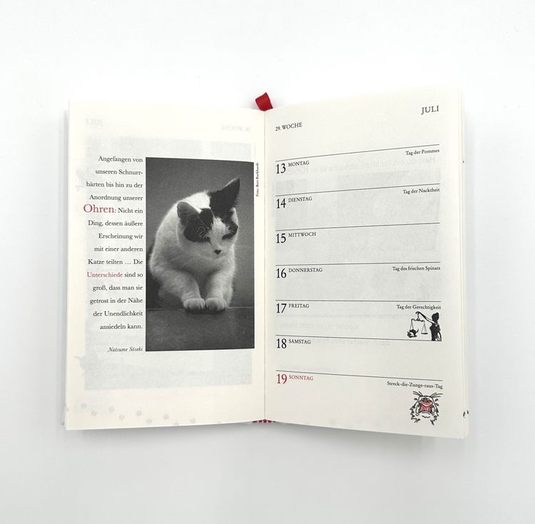 Produktbild: Katzen Taschenkalender 2026