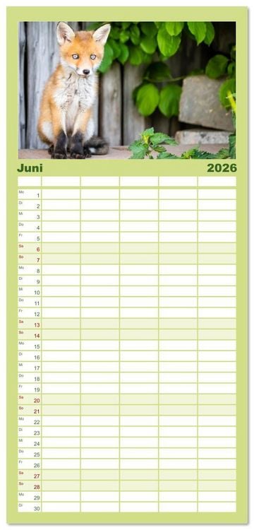 Produktbild: Familienplaner 2026 - Verspielte Fuchswelpen - Allein zu Haus' mit 5 Spalten (Wandkalender, 21 x 45 cm) CALVENDO