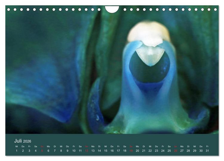 Produktbild: Fantastische Reise in die Welt der Blumen (Wandkalender 2026 DIN A4 quer), CALVENDO Monatskalender