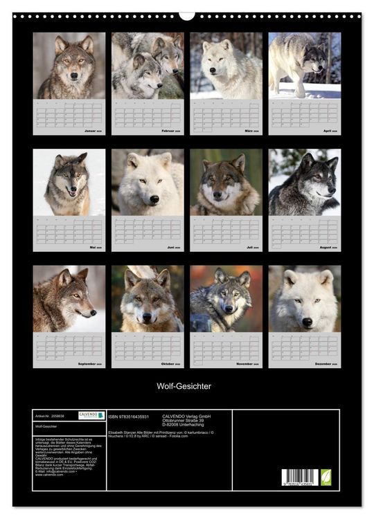 Produktbild: Wolf-Gesichter (Wandkalender 2026 DIN A2 hoch), CALVENDO Monatskalender