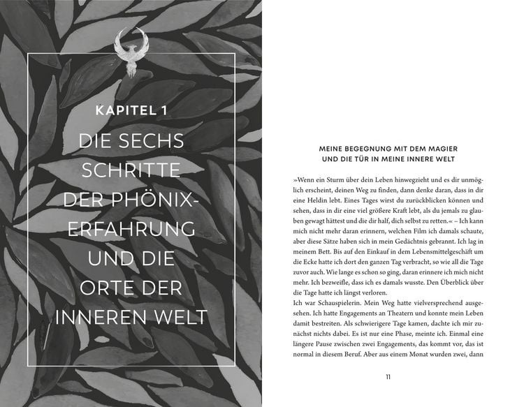 Produktbild: Die Ph&ouml;nixerfahrung