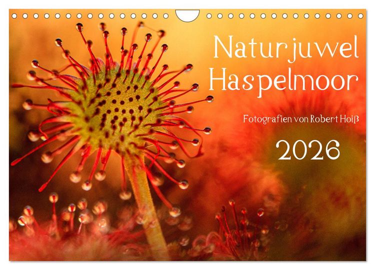 Produktbild: Naturjuwel Haspelmoor (Wandkalender 2026 DIN A4 quer), CALVENDO Monatskalender
