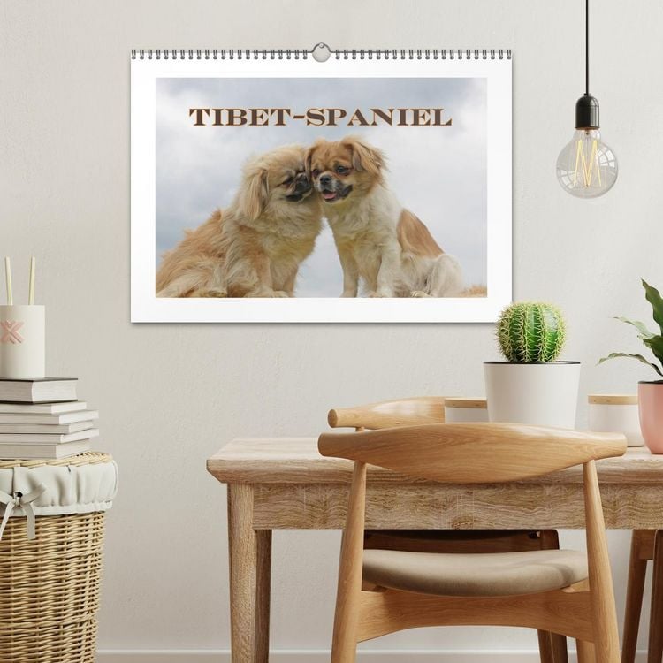 Produktbild: Tibet-Spaniel (Wandkalender 2026 DIN A3 quer), CALVENDO Monatskalender