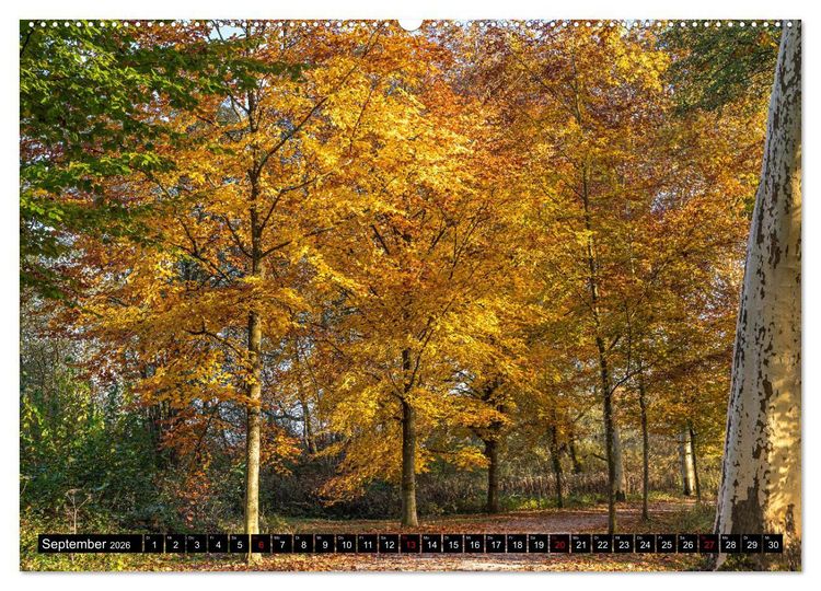 Produktbild: Herbst rund um den Bodensee (Wandkalender 2026 DIN A2 quer), CALVENDO Monatskalender