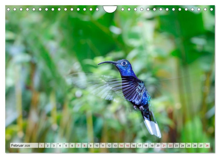 Produktbild: Costa Rica - Tierwelt und Landschaften (Wandkalender 2026 DIN A4 quer), CALVENDO Monatskalender