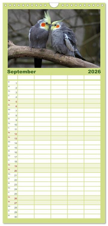 Produktbild: Familienplaner 2026 - Nymphensittiche mit 5 Spalten (Wandkalender, 21 x 45 cm) CALVENDO
