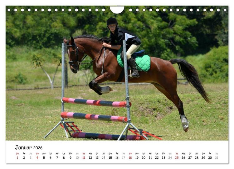 Produktbild: Pony Springreiten (Wandkalender 2026 DIN A4 quer), CALVENDO Monatskalender