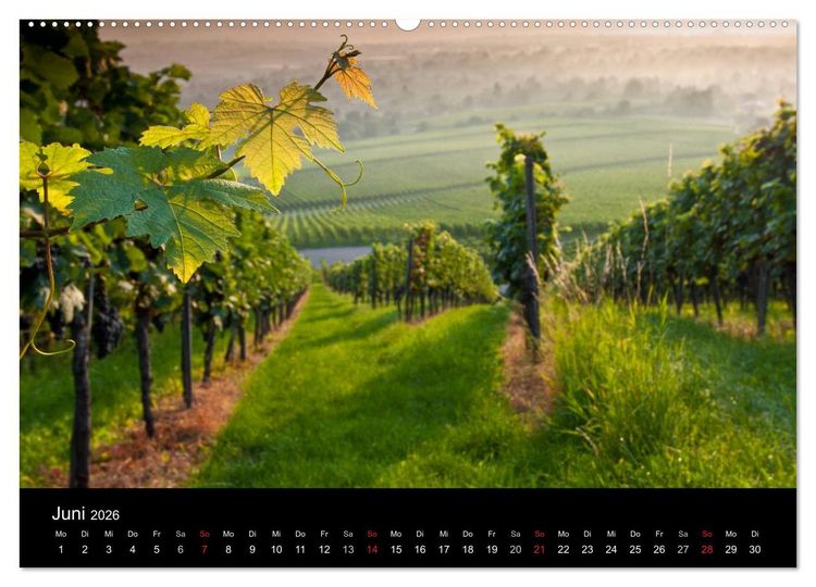 Produktbild: Weinberge im Remstal (Wandkalender 2026 DIN A2 quer), CALVENDO Monatskalender