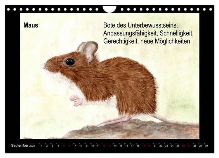 Produktbild: Krafttiere in Aquarell (Wandkalender 2026 DIN A4 quer), CALVENDO Monatskalender