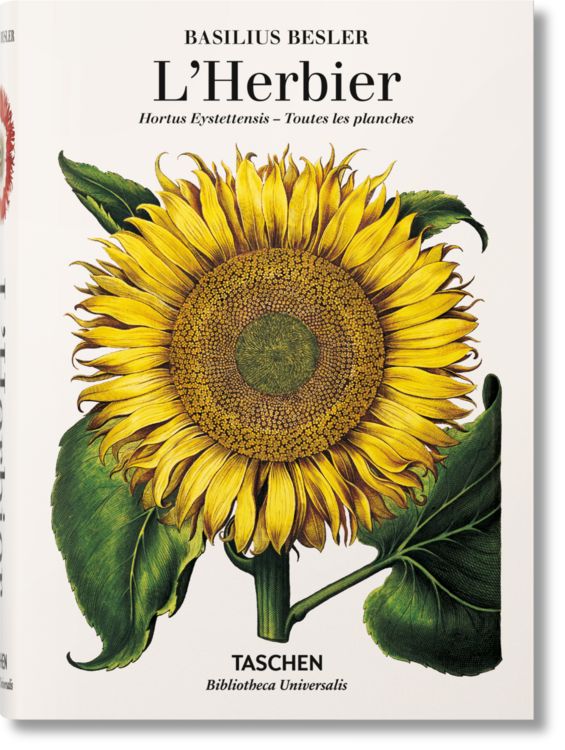 Produktbild: Basilius Besler. L'Herbier. Hortus Eystettensis