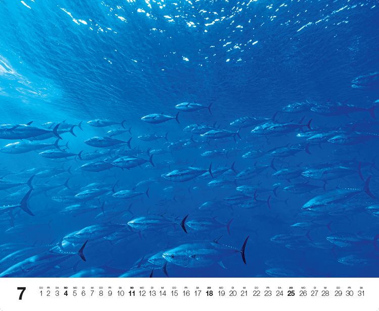 Produktbild: Dive 2027