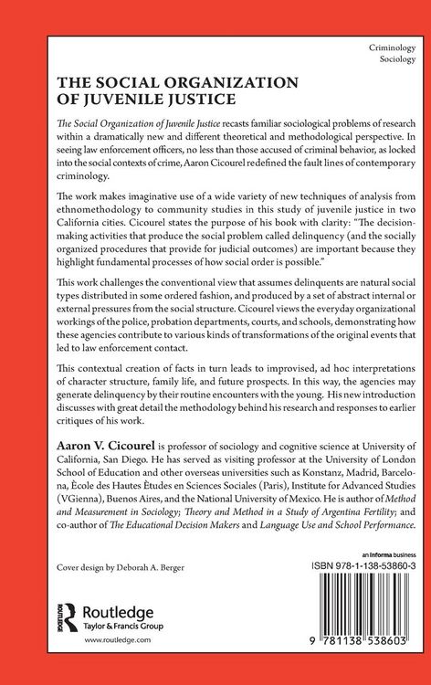 Produktbild: The Social Organization of Juvenile Justice