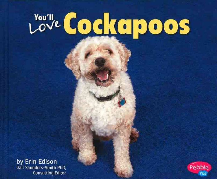 Produktbild: You'll Love Cockapoos