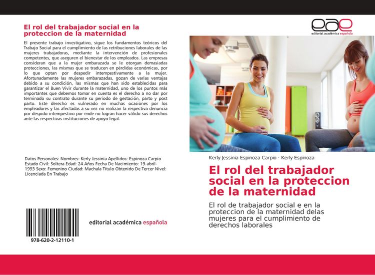 Produktbild: El rol del trabajador social en la proteccion de la maternidad