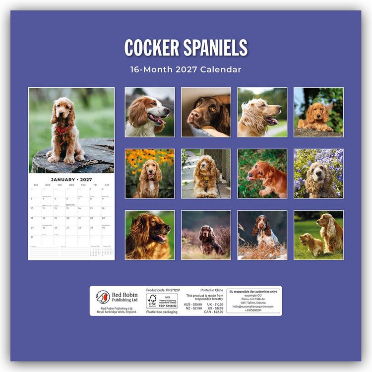 Produktbild: Cocker Spaniels &ndash; Cocker Spaniel 2027 &ndash; 16-Monatskalender