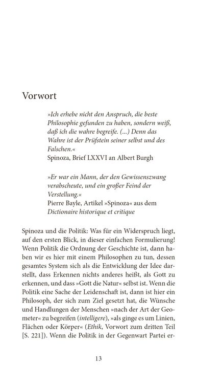 Produktbild: Spinoza und die Politik