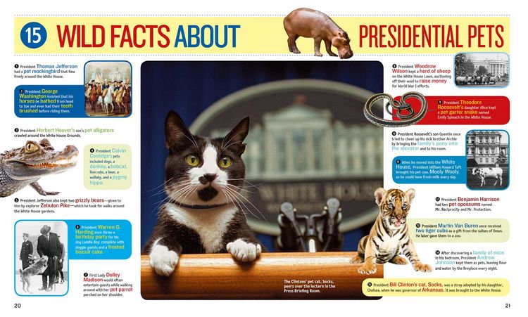 Produktbild: 1,000 Facts about the White House