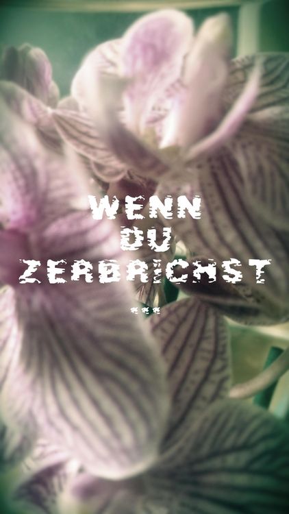 Produktbild: Wenn du zerbrichst