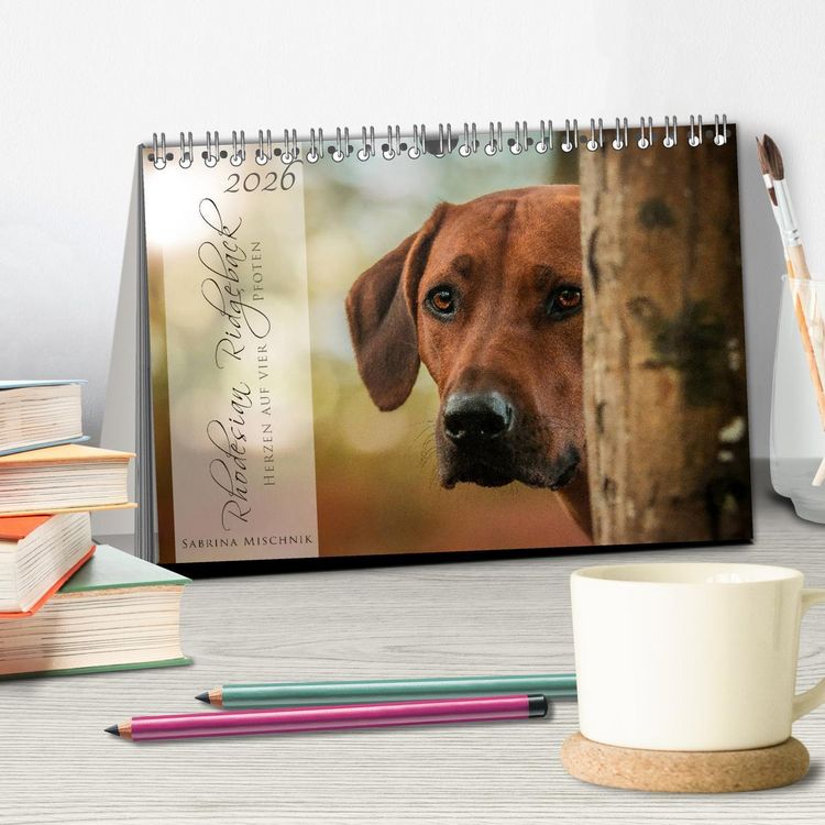 Produktbild: Rhodesian Ridgeback - Herzen auf vier Pfoten (Tischkalender 2026 DIN A5 quer), CALVENDO Monatskalender