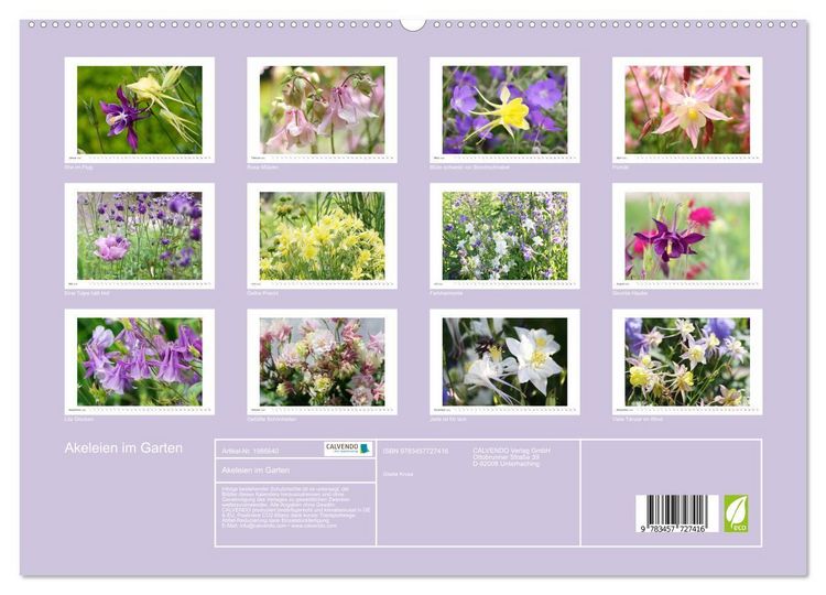 Produktbild: Akeleien im Garten (hochwertiger Premium Wandkalender 2026 DIN A2 quer), Kunstdruck in Hochglanz