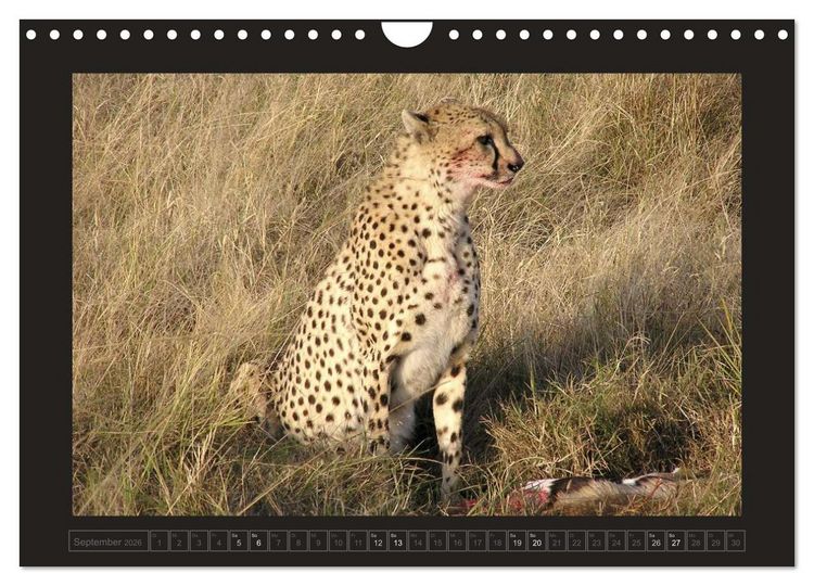 Produktbild: Kenia (Wandkalender 2026 DIN A4 quer), CALVENDO Monatskalender