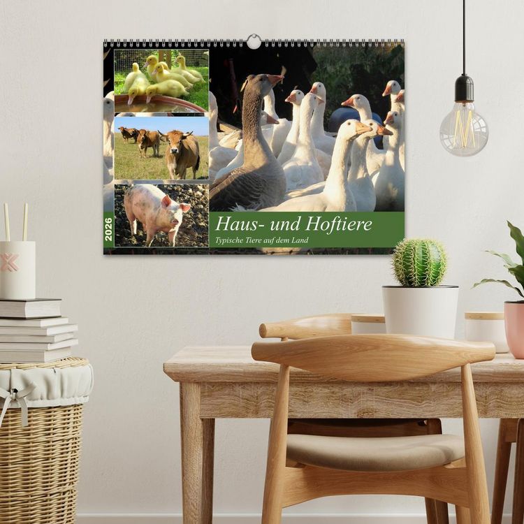 Produktbild: Haus- und Hoftiere (Wandkalender 2026 DIN A3 quer), CALVENDO Monatskalender