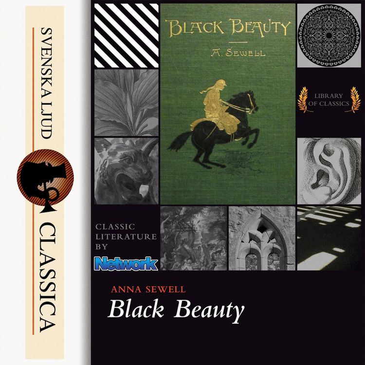 Produktbild: Black Beauty