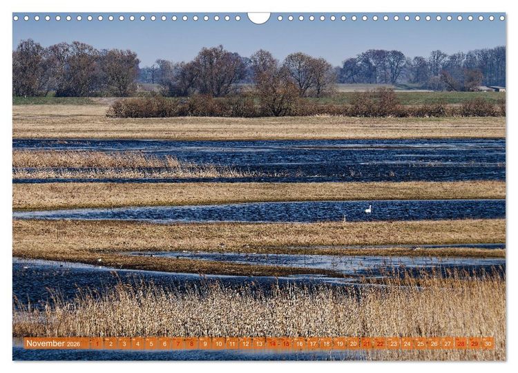 Produktbild: Flusslandschaft Elbe (Wandkalender 2026 DIN A3 quer), CALVENDO Monatskalender
