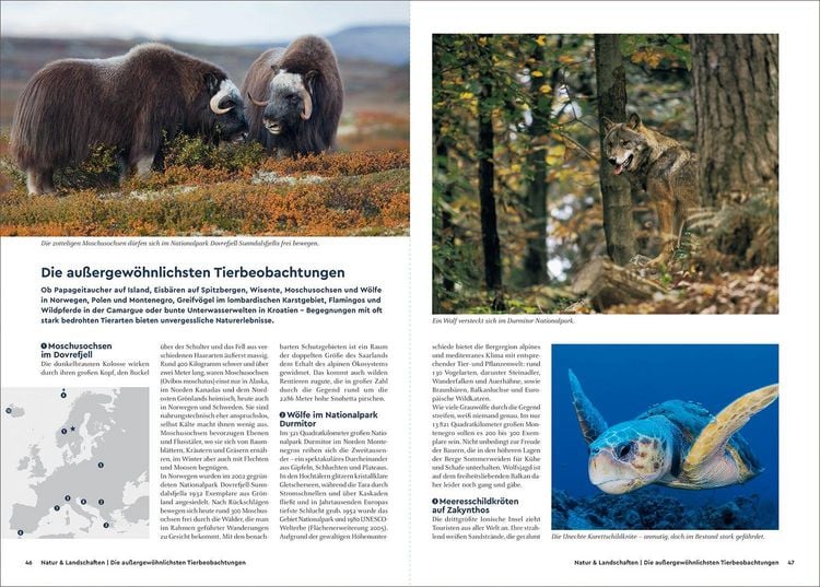 Produktbild: KUNTH Best of Europa