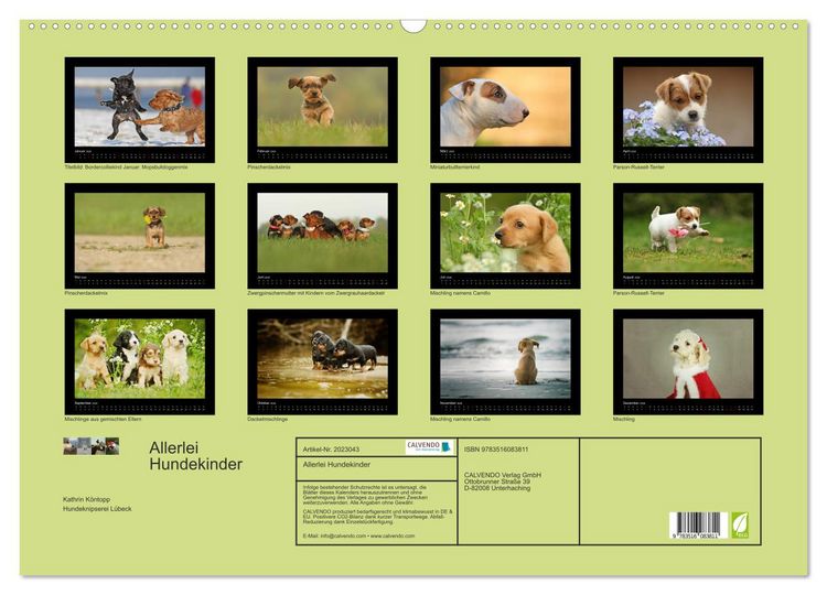 Produktbild: Allerlei Hundekinder (Wandkalender 2026 DIN A2 quer), CALVENDO Monatskalender