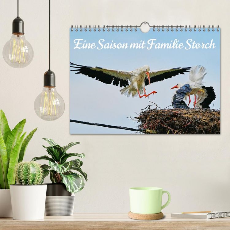 Produktbild: Eine Saison mit Familie Storch (Wandkalender 2026 DIN A4 quer), CALVENDO Monatskalender