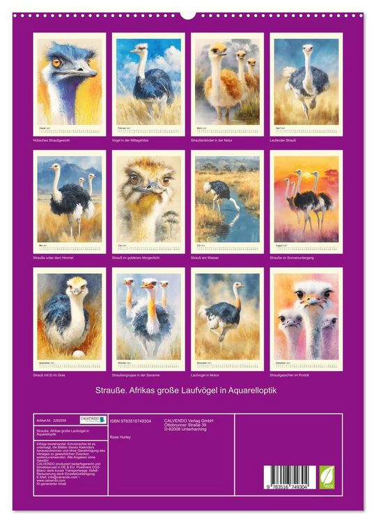 Produktbild: Strau&szlig;e. Afrikas gro&szlig;e Laufv&ouml;gel in Aquarelloptik (hochwertiger Premium Wandkalender 2027 DIN A2 hoch), Kunstdruck in Hochglanz